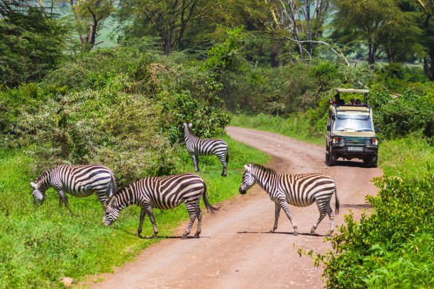 tanzania-5-days-sharing-joining-safari